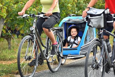 Le long des vignes - La Loire à vélo - France