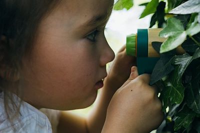© Tober / Les Rookies - Observation de la nature Observation de la nature