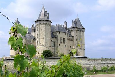 Château de Saumur - Loire - France