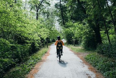 Vélo en forêt 