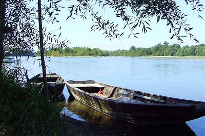 Bords de Loire - Loire - France