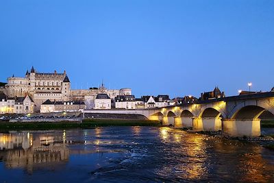 Voyage Loire à vélo et ses châteaux de Blois à Tours 1