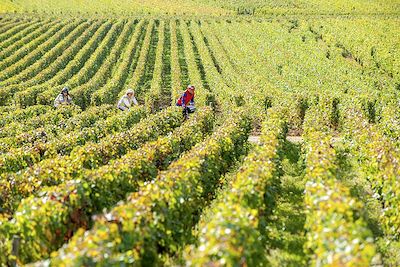 Voyage Le tour de Bourgogne à vélo, de Chalon à Mâcon 3