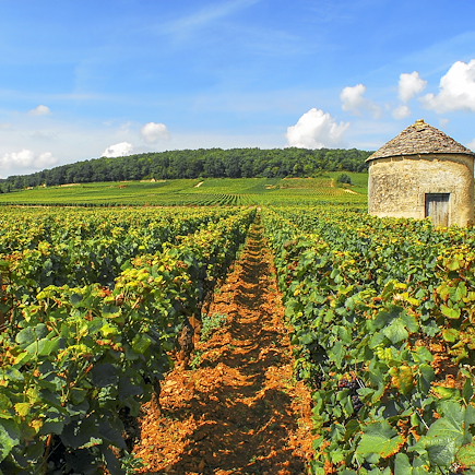 Micro-aventure France