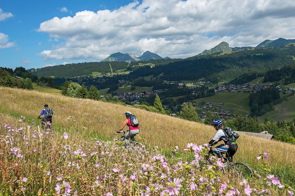 Voyage Entre Leman et Mont Blanc en VTT électrique