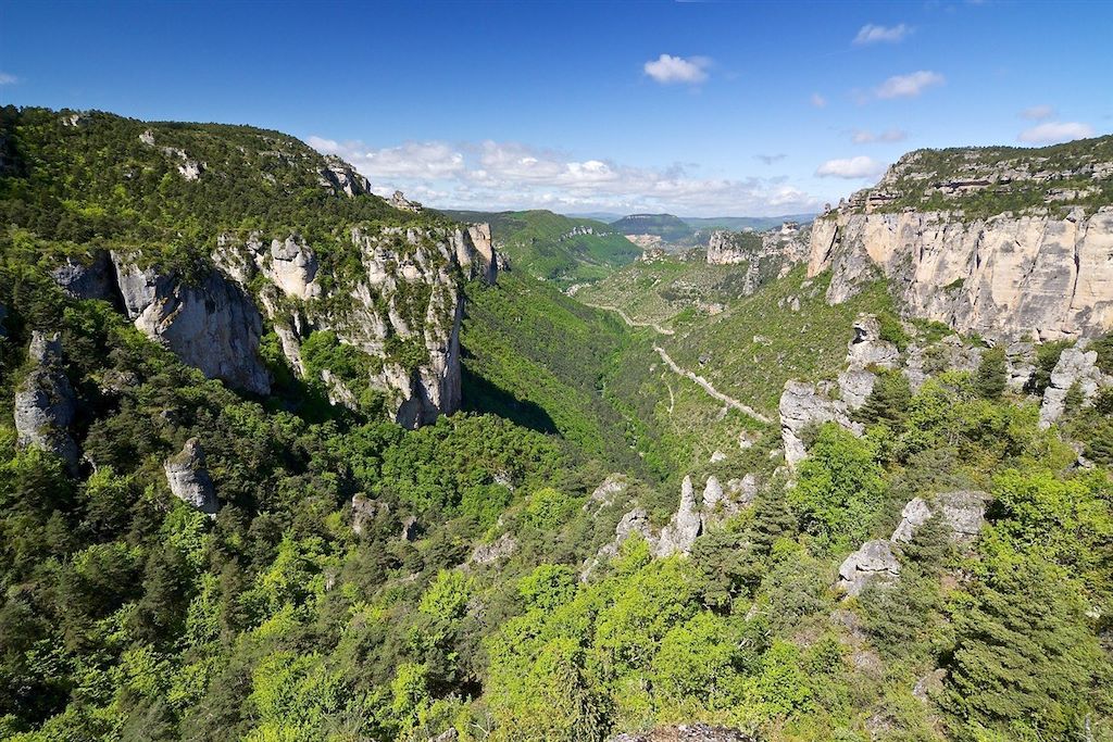 Voyage Gorges du Tarn et de la Jonte 1