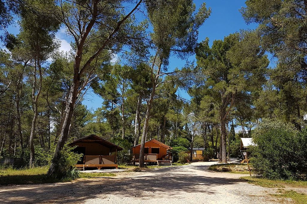 Voyage Calanques et sensations provençales 1