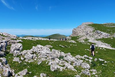 © Mathieu Houret - Pays-Basque - France Pays-Basque - France