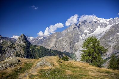 Mont de la Saxe - Val Ferret Italien - France