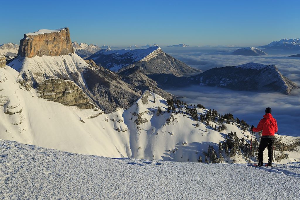 Voyage Les loups des hauts plateaux du Vercors 2