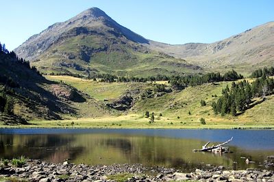 © P. Gonthier - Pyrénées - France Pyrénées - France