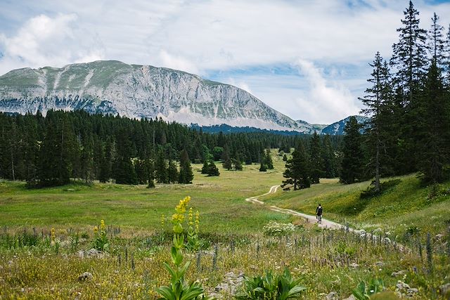 VTT / Gravel : Le Vercors des 4 montagnes en VTT Voyage Le Vercors des 4 montagnes en VTT