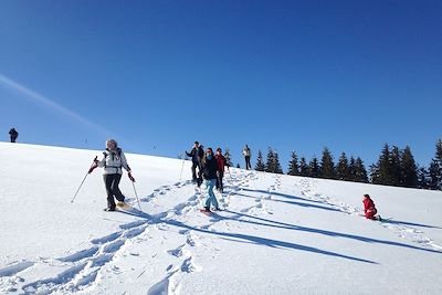 Voyage Raquettes sur le plateau de l'Aubrac 3