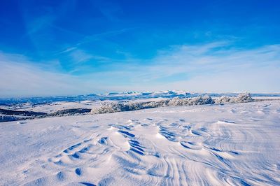 Paysages d'Aubrac sous la neige - Aveyron - France