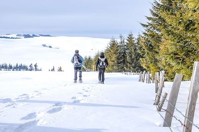 Randonnée en raquettes sur l'Aubrac - France