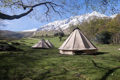 Voyage L'appel de la forêt en Hautes Pyrénées 1