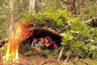 L'appel de la forêt en Hautes Pyrénées