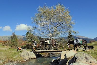 Voyage L'appel de la forêt en Hautes Pyrénées 3