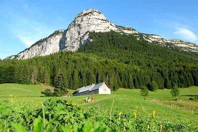 © Alain Lenfant - Mont des Rigauds - Vallée des Entremonts - Parc de la Chartreuse - France Mont des Rigauds - Vallée des Entremonts - Parc de la Chartreuse - France