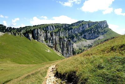 © Anne Bally - Massif du Grand Som - Parc de la Chartreuse - France Massif du Grand Som - Parc de la Chartreuse - France