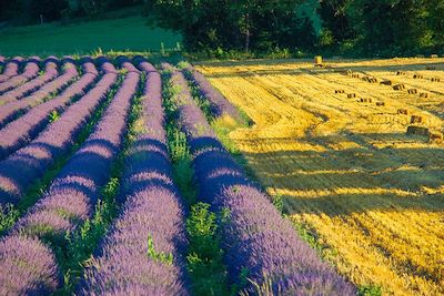 © Hervé Baussanne - Paysage de la Drôme - France Paysage de la Drôme - France