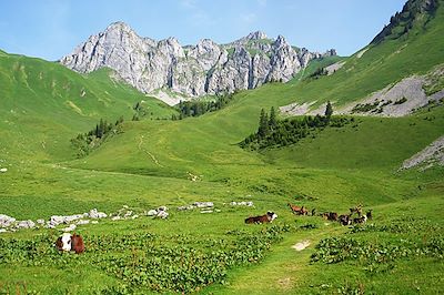Alpages de Bise - Au pays du Léman - Chablais - Haute-Savoie - Alpes - France
