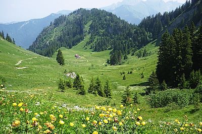 Tré Le Saix - Au pays du Léman - Chablais - Haute-Savoie - Alpes - France