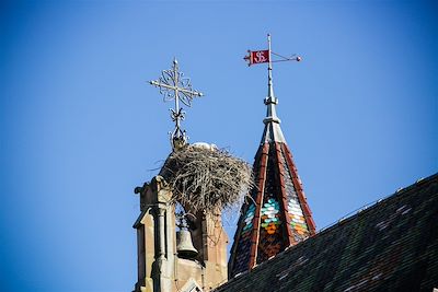 Eguisheim - Alsace - France