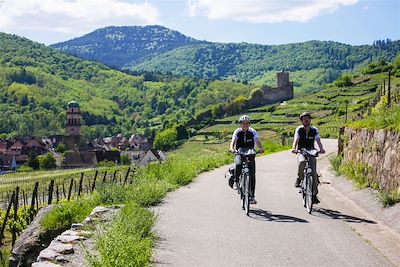 Sur la route des vignobles - Alsace - France