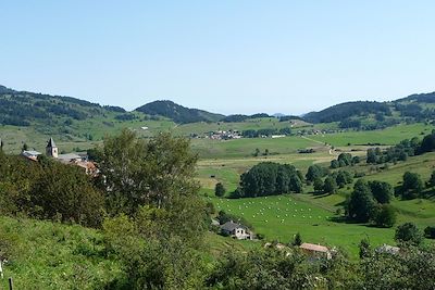 Voyage Les Pyrénées cathares avec un âne 1