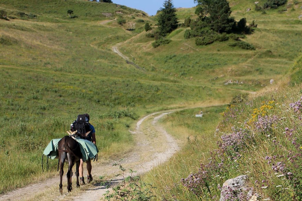 Voyage Les Pyrénées cathares avec un âne 3