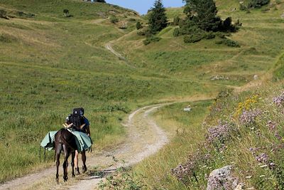Voyage Les Pyrénées cathares avec un âne 3