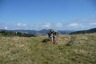 Voyage Les Pyrénées cathares avec un âne 2