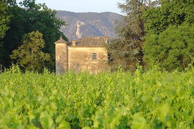 © Sonia Fontaine - Lubéron - France Lubéron - France