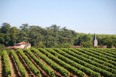 © Collection Tourisme Gers/CDT32/C. Castex - Vignes - Gers - Sud-Ouest - France Vignes - Gers - Sud-Ouest - France