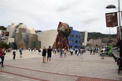 Le musée Guggenheim à Bilbao - Pays basque - Espagne
