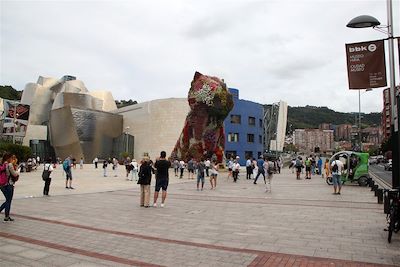 © Guillaume Cuenin - Le musée Guggenheim à Bilbao - Pays basque - Espagne Le musée Guggenheim à Bilbao - Pays basque - Espagne