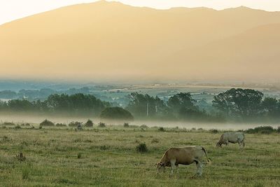 © SPANI Arnaud / hemis.fr - Cerdagne - Parc Naturel Régional des Pyrénées Catalanes - France Cerdagne - Parc Naturel Régional des Pyrénées Catalanes - France