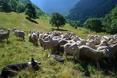 Séjour famille dans les Pyrénées - France