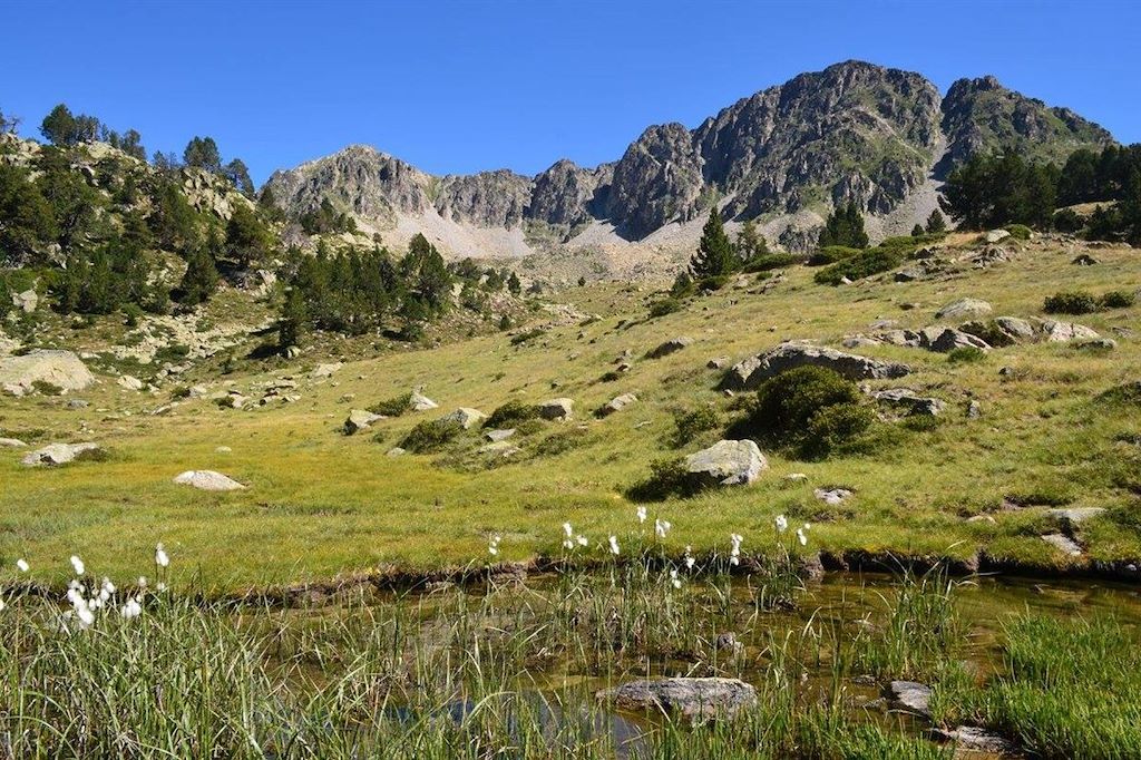Voyage Les Pyrénées grandeur nature 3