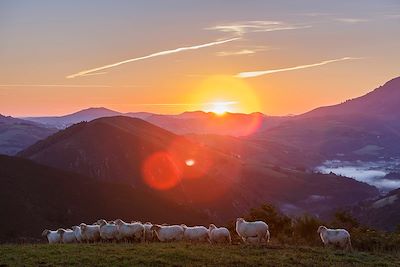 © SPANI Arnaud / hemis.fr - Itxassou - Pays Basque - France Itxassou - Pays Basque - France
