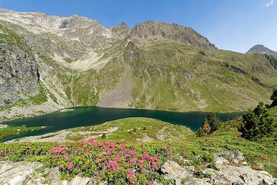 © Alain Barichello - Autour de Cauterets - France Autour de Cauterets - France