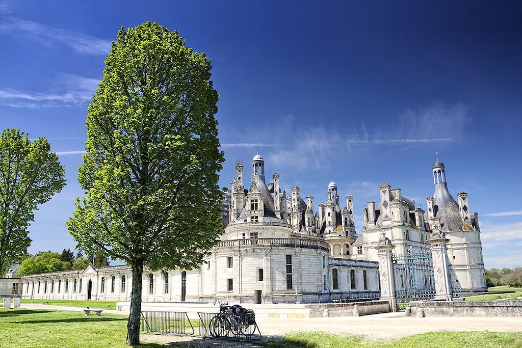 Voyage Culture et patrimoine, les Châteaux de la Loire 1