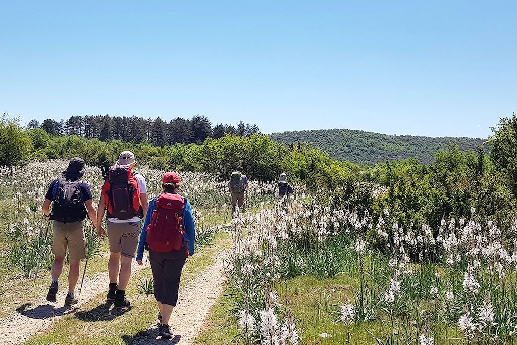 Voyage Le tour du Larzac, découverte intimiste 2