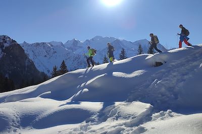 © Yoann Gautheron - Marche dans les Ayères - Passy - Haute- Savoie - France Marche dans les Ayères - Passy - Haute- Savoie - France