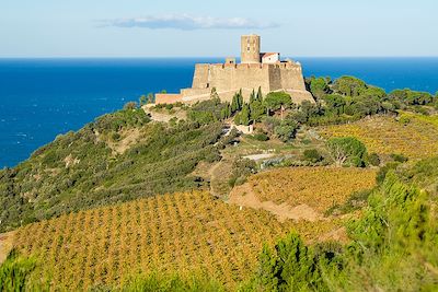 Le fort Saint-Elme sur les hauteurs de Collioure - France
