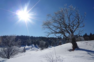© Celine Dormoy - Le Revard - Bauges - Alpes du Nord - France Le Revard - Bauges - Alpes du Nord - France
