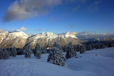 © Pascal Blachier - Bauges - Alpes du Nord - France Bauges - Alpes du Nord - France