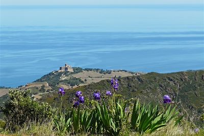 Le fort Saint-Elme sur les hauteurs de Collioure - France