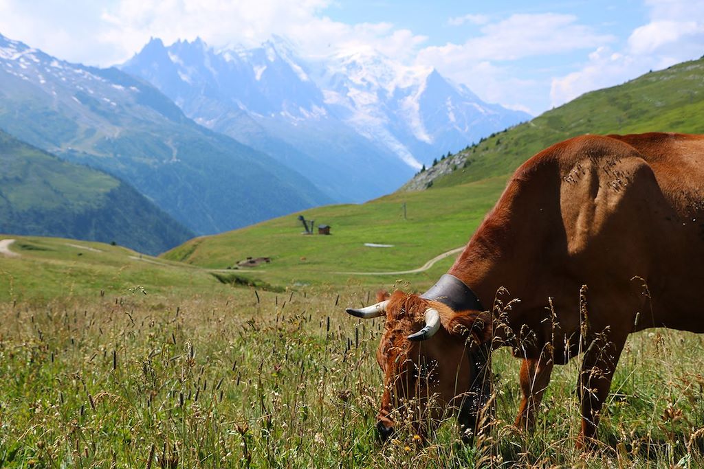 Voyage Le tour du Mont-Blanc (7 étapes) 2